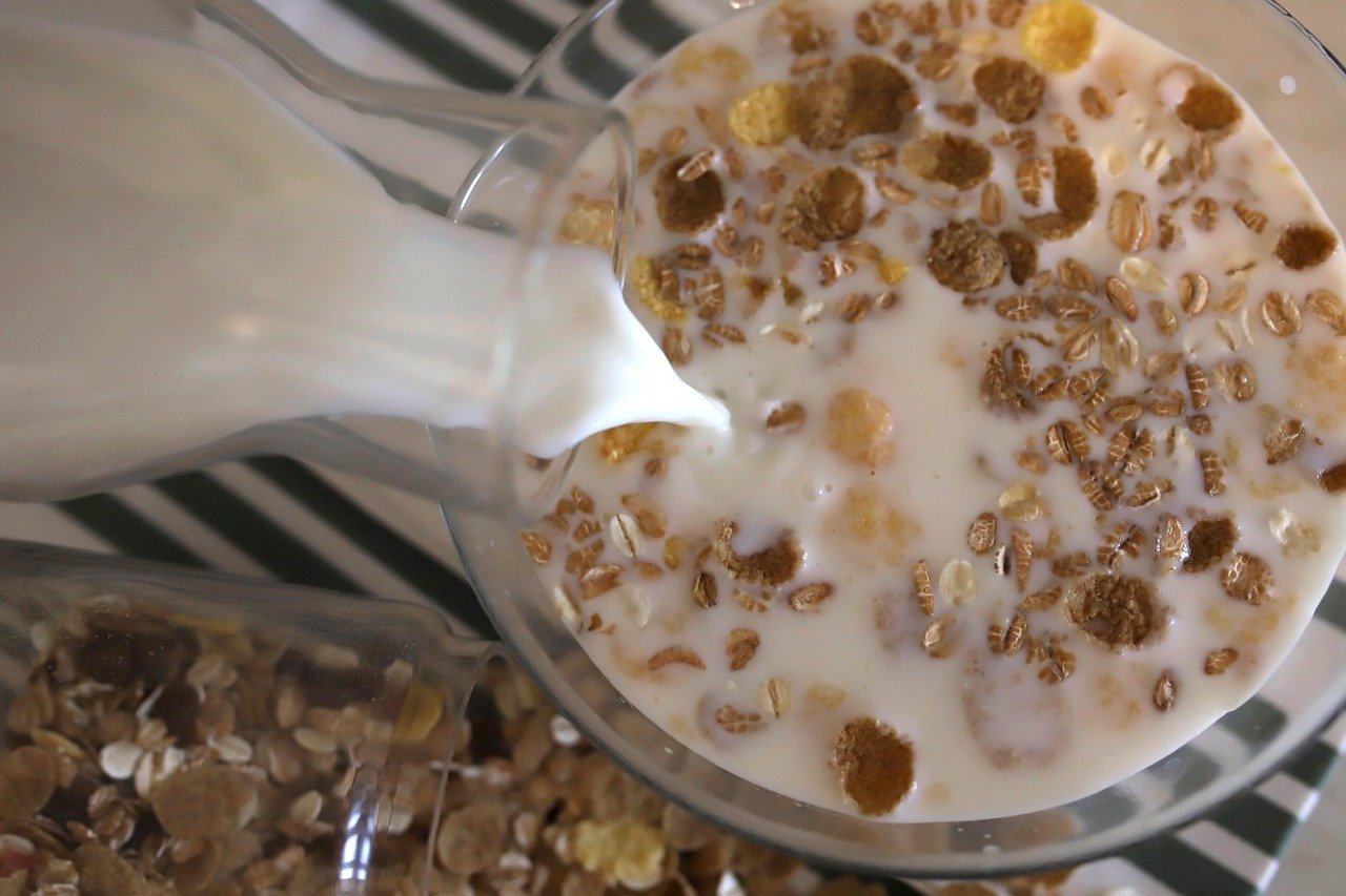 muesli, cereal, breakfast, granola,vegan breakfast, oat milk, flat lay, top view, oat milk, oat milk, oat milk, oat milk, oat milk